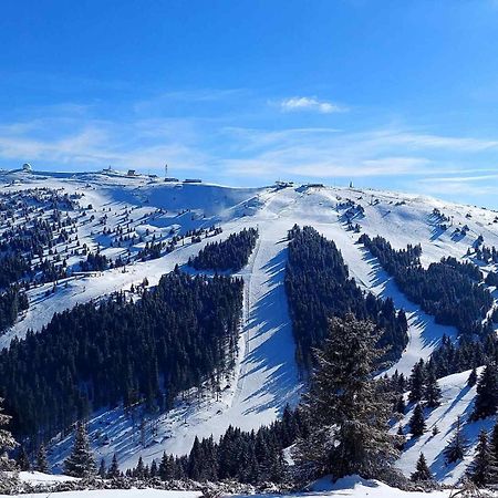 Woodside Apartment M Kopaonik Free Parking Eksteriør billede