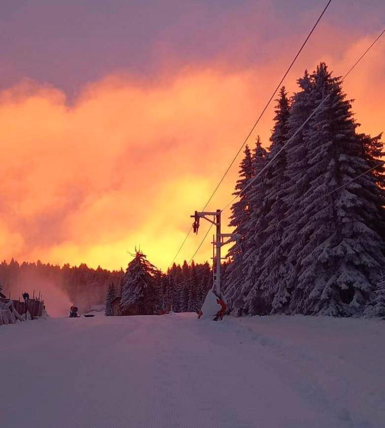 Woodside Apartment M Kopaonik Free Parking Eksteriør billede