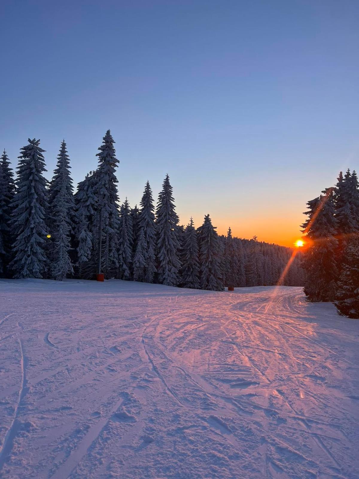 Woodside Apartment M Kopaonik Free Parking Eksteriør billede
