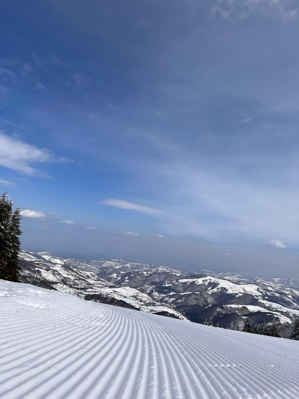 Woodside Apartment M Kopaonik Free Parking Eksteriør billede