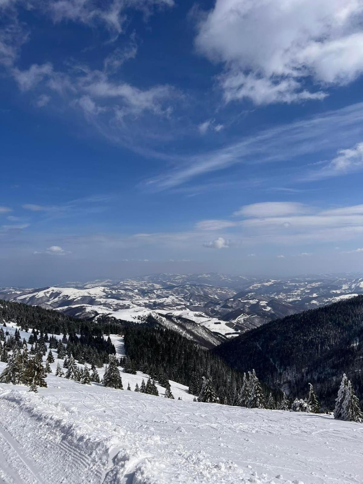 Woodside Apartment M Kopaonik Free Parking Eksteriør billede