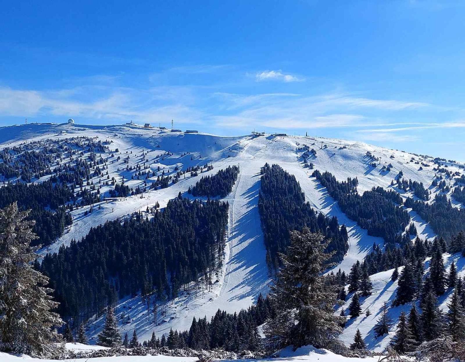 Woodside Apartment M Kopaonik Free Parking Eksteriør billede