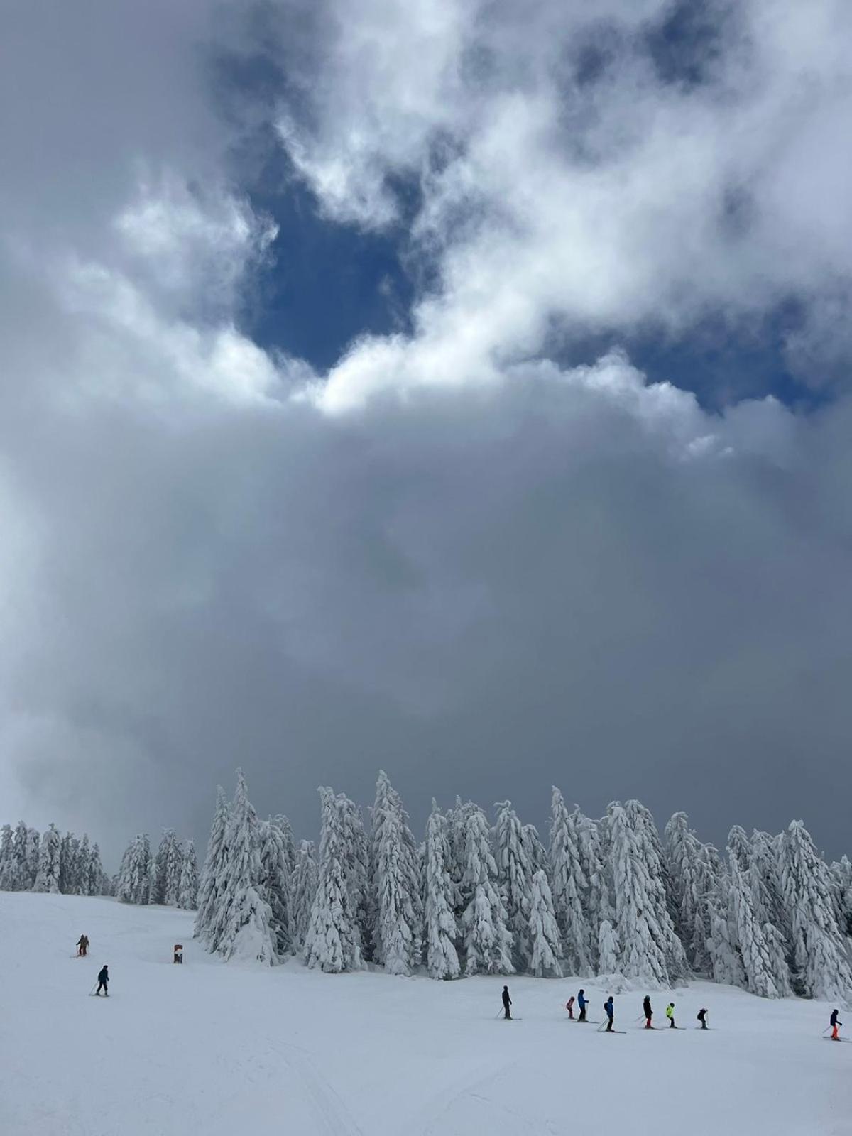 Woodside Apartment M Kopaonik Free Parking Eksteriør billede