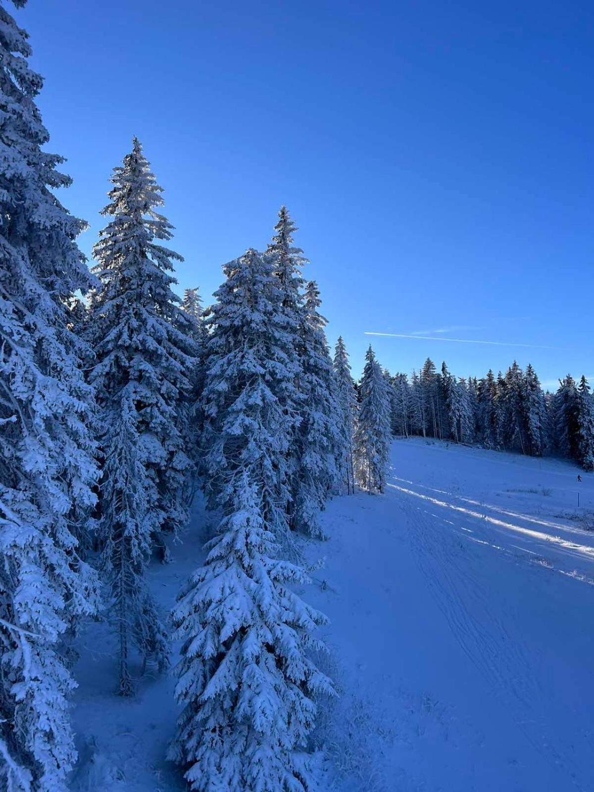 Woodside Apartment M Kopaonik Free Parking Eksteriør billede