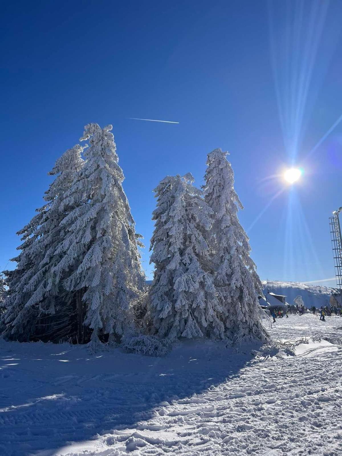 Woodside Apartment M Kopaonik Free Parking Eksteriør billede
