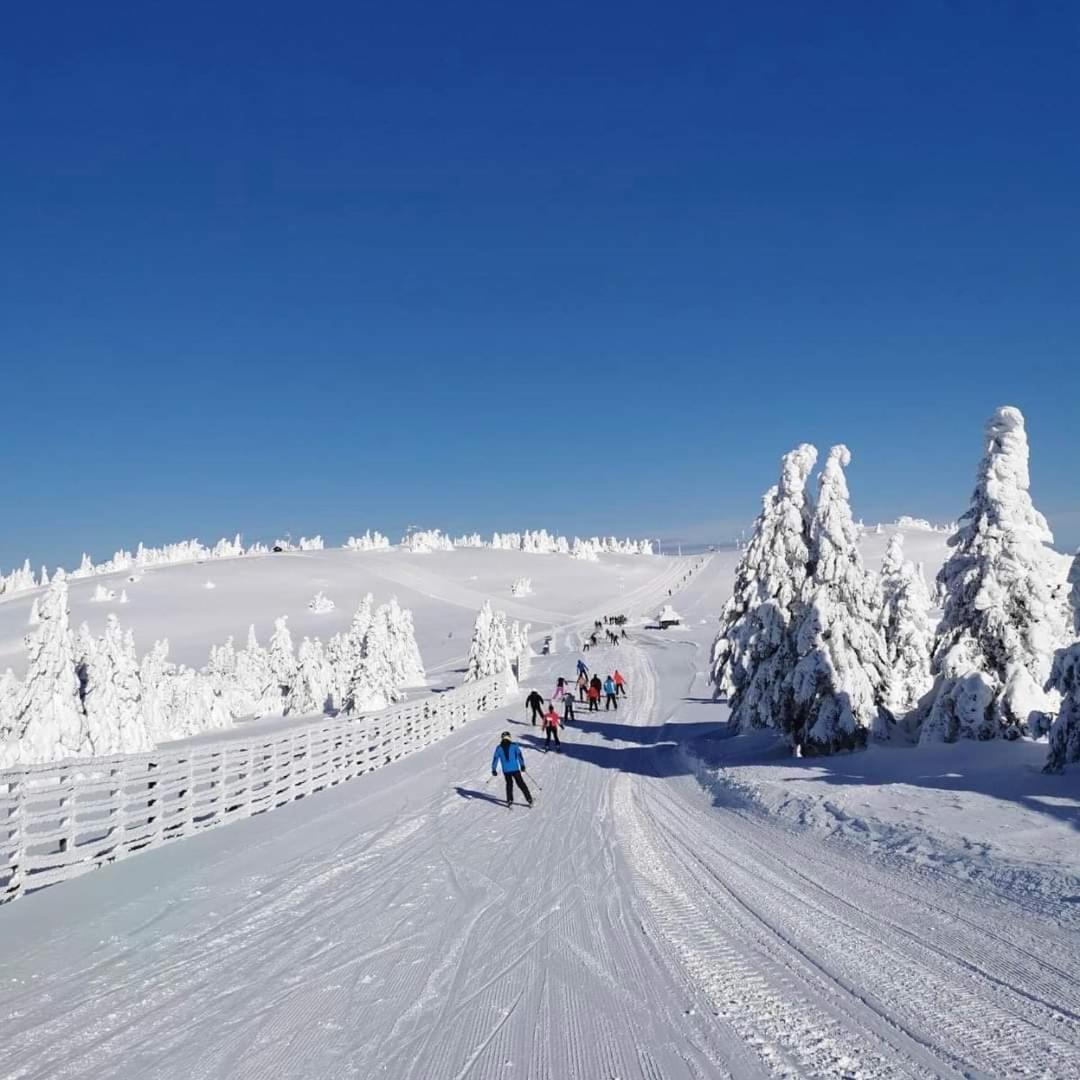 Woodside Apartment M Kopaonik Free Parking Eksteriør billede